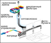 Экспонирующее устройство на основе MLVA