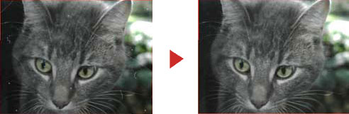 Noritsu серии QSS-33 Digital