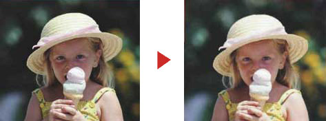 Noritsu серии QSS-33 Digital